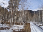 trail_part_1