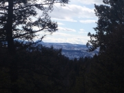 view
