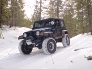 terry_on_the_trail_part_3
