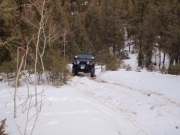 terry_up_the_hill