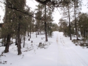 trail_part_6