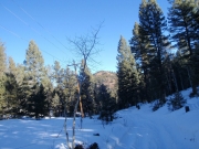 trail_part_1