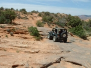 ladd_on_the_trail