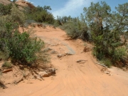 sandy_area