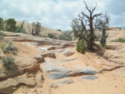 sand_and_rock