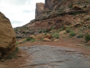 start_of_the_trail