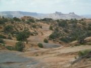 trail_ahead