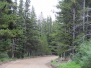 healthy_trees