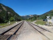 tracks