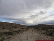 cow_tracks