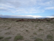 sparse