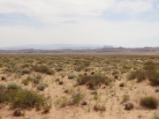 see_for_miles
