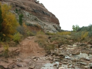creek_crossing