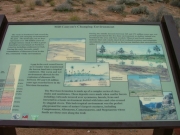 dinosaur_area_sign