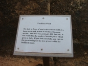 fossilized_wood_sign