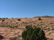 long_hill