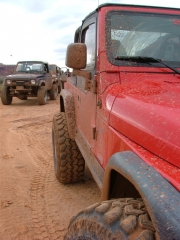 monica_muddy