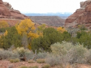 mountain_view