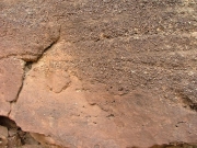 sandstone