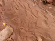 swirled_sand