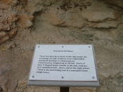 tail_bones_sign