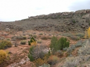 view_from_the_dinosaur_area