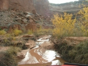 water_along_the_trail