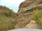 water_in_the_wash