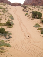matt_and_jeffrey_up_the_sand_hill