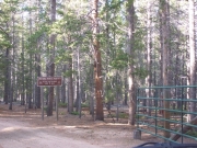 stay_on_the_trail