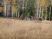 trail_part_4