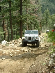brian_on_the_trail
