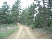 dirt_roads
