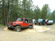monica_in_a_puddle_part_2