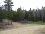 crystal_mountain_trailhead