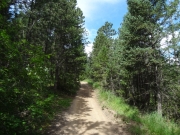 early_trail