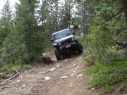 holly_on_the_trail_part_1