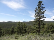 mountain_view