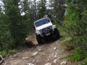 roger_on_the_trail