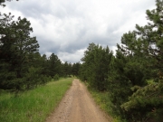 straight_trail