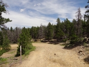 switchback