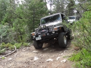 walt_on_the_trail_part_2