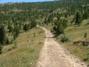 long_trail_ahead