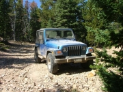 mark_on_the_trail