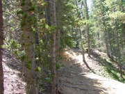 narrow_and_tippy