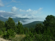 view_from_the_top