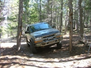 walt_through_narrow_trees_part_1