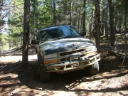 walt_through_narrow_trees_part_2