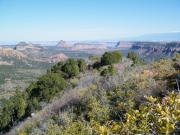 canyon_view