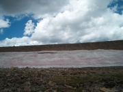 purple_snow